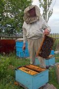 Kamiani Mohyly Reserve. Apiarist, Donetsk Region, Peoples 