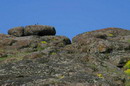 Starolaspa. Steppe granite outcrops, Donetsk Region, Geological sightseeing 
