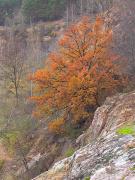 Zhytomyr. Autumn fire, Zhytomyr Region, Geological sightseeing 