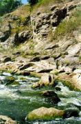 Chudniv. Noisy stream of Teteriv, Zhytomyr Region, Rivers 