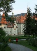 Karpaty. Count's palace and current holiday, Zakarpattia Region, Fortesses & Castles 