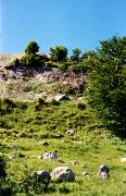 Novoselytsia. Dumps of local stone quarry, Zakarpattia Region, Geological sightseeing 