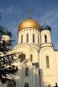 Uzhgorod. Domes of Orthodox Cathedral, Zakarpattia Region, Churches 