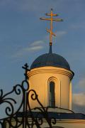 Uzhgorod. Dome of chapel of cathedral, Zakarpattia Region, Churches 