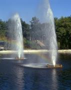 Zaporizhzhia. Fountains in Park Oak Forest, Zaporizhzhia Region, Cities 
