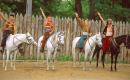 Zaporizhzhia. Horse theatre  Parade hallo!, Zaporizhzhia Region, Cities 