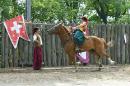 Zaporizhzhia. Horse theatre  bring down galloping cap, Zaporizhzhia Region, Cities 