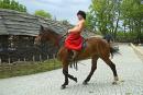 Zaporizhzhia. Horse theatre  with sense of accomplishment, Zaporizhzhia Region, Cities 