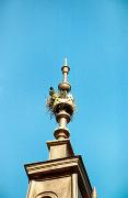 Bolechiv. Bird's nest on the spire of City Hall, Ivano-Frankivsk Region, Rathauses 