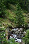 Carpathian NNP. Pointed stream stream, Ivano-Frankivsk Region, National Natural Parks 