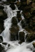 Carpathian NNP. Cascade waterfall on a mountain stream, Ivano-Frankivsk Region, National Natural Parks 