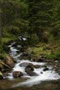 Carpathian NNP. Empty mountain stream, Ivano-Frankivsk Region, National Natural Parks 