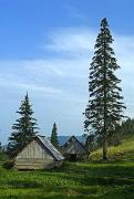 Pre-Carpathians. Shepherd's shelter on mountain pastures, Ivano-Frankivsk Region, National Natural Parks 