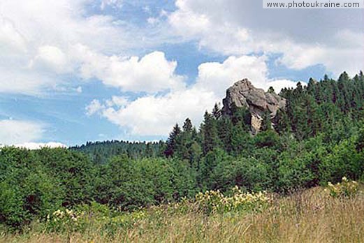 Skole Beskydy Lviv Region Ukraine photos