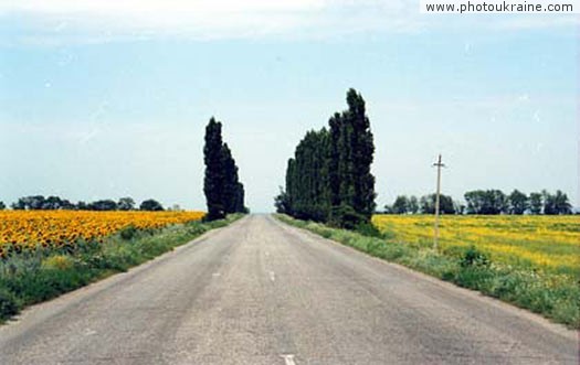 Village Volosske. Picturesque road Dnipropetrovsk Region Ukraine photos