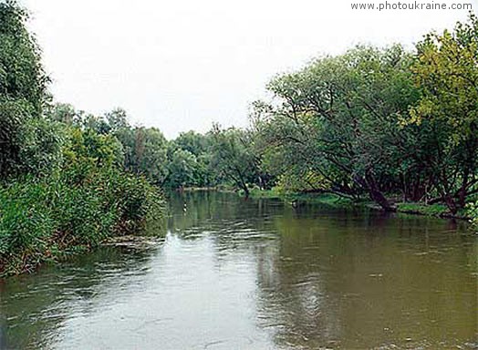 Aydar Luhansk Region Ukraine photos