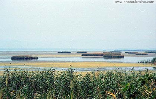  das donauere Naturschutzgebiet
Gebiet Odesa 