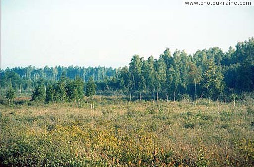 Ровенский природный заповедник. Ровенская область Фото Украины