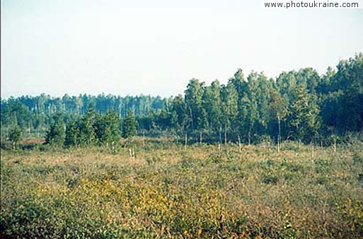  das Rowno-nat?rliche Naturschutzgebiet.
Gebiet Rowno 