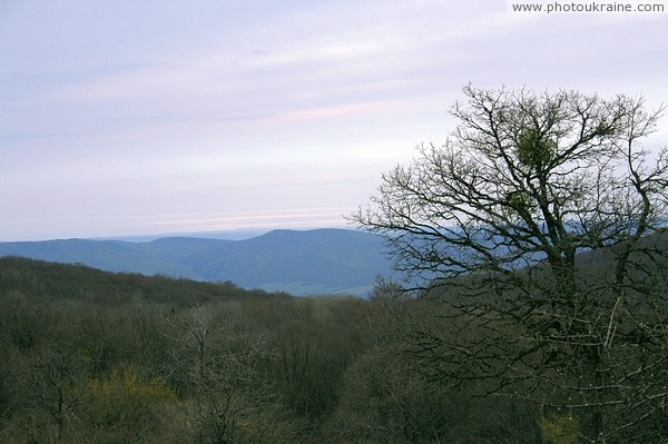 Yalta mountain-forest reserve Autonomous Republic of Crimea Ukraine photos