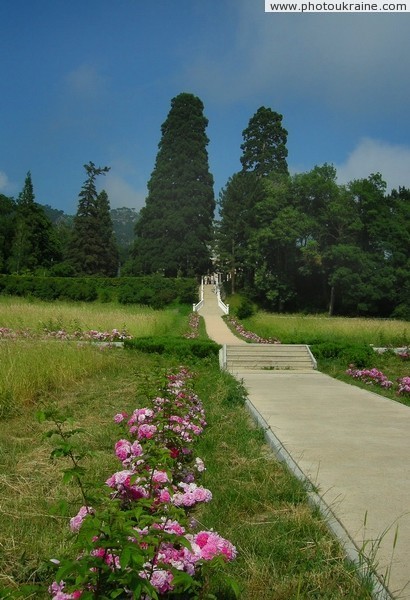 Massandra Park Autonomous Republic of Crimea Ukraine photos