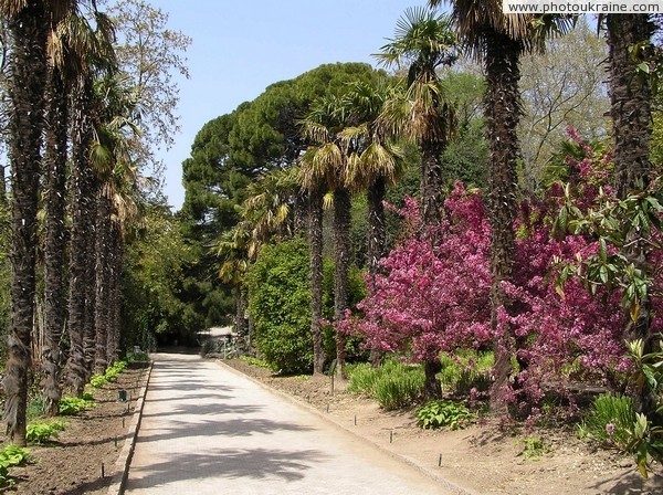 Nikitsky Botanical Garden Autonomous Republic of Crimea Ukraine photos