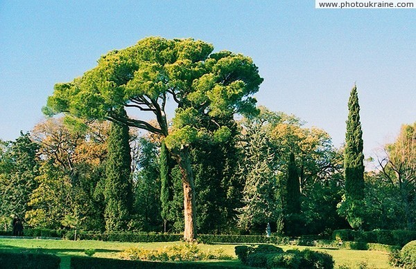 Livadiya Park Autonomous Republic of Crimea Ukraine photos