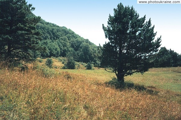 Crimean Reserve. County of Gurzuf saddle Autonomous Republic of Crimea Ukraine photos