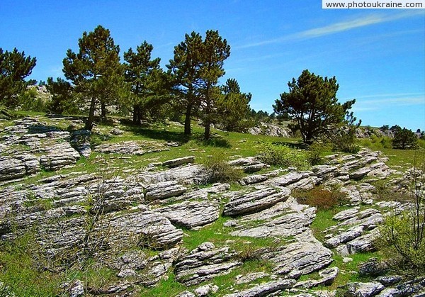 Yalta Reserve. Slopes Ay-Petri yayla Autonomous Republic of Crimea Ukraine photos