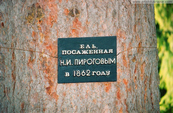Vinnytsia. Plate on spruce, planted by N. Pirogov Vinnytsia Region Ukraine photos