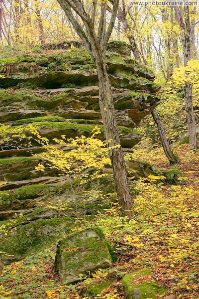 Busha. Sandstone cliff in Gaydamak Yar Vinnytsia Region Ukraine photos