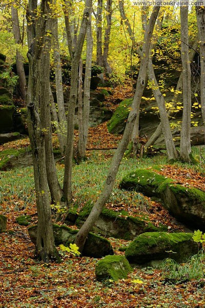 Busha. Cliff in Gaydamak Yar Vinnytsia Region Ukraine photos