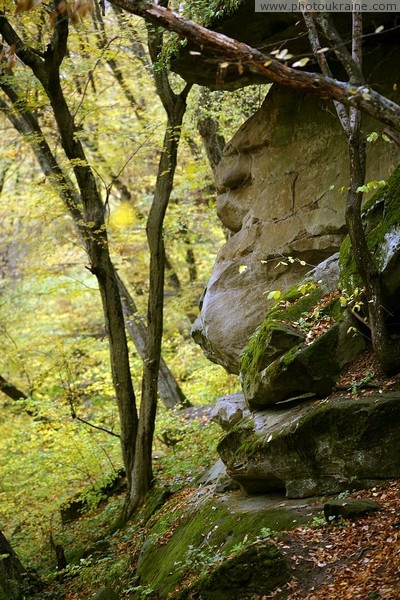 Busha. Exposure arkoz sandstones in Gaydamak Yar Vinnytsia Region Ukraine photos