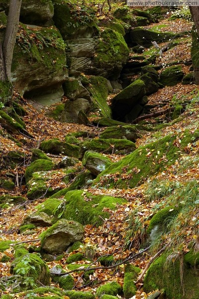 Busha. Chaos from blocks of sandstone, which is 625 million years Vinnytsia Region Ukraine photos