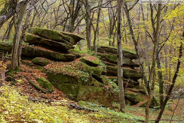 Busha. Rock Sheep in Gaydamak Yar Vinnytsia Region Ukraine photos