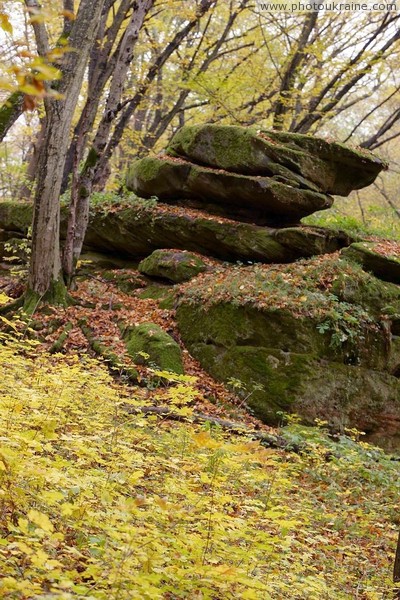 Busha. Sandstone cliff in Gaydamak Yar Vinnytsia Region Ukraine photos