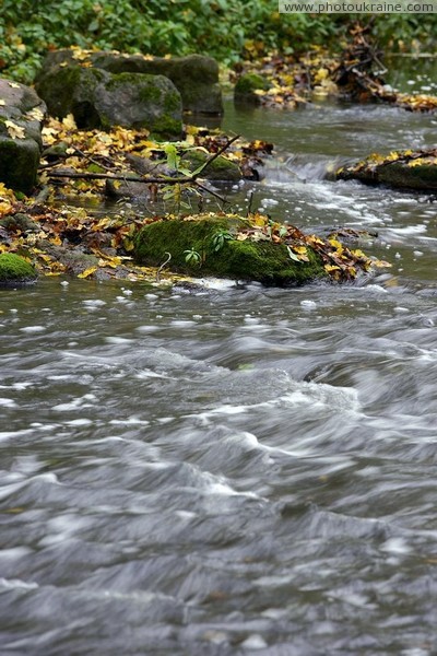 Busha. Bed rivers Bushanki in Gaydamak Yar Vinnytsia Region Ukraine photos