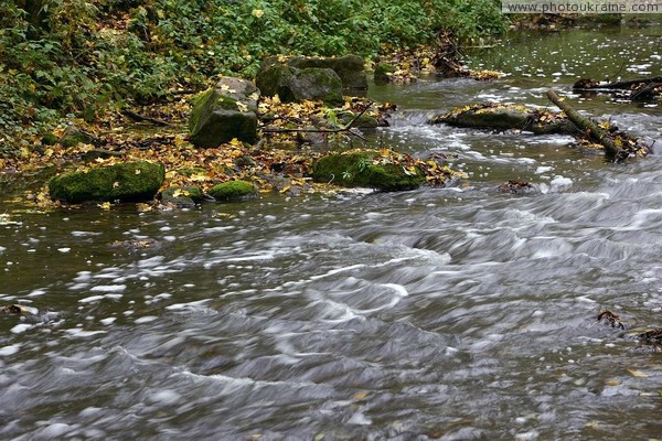 Busha. Romantic flow Bushanki in Gaydamak Yar Vinnytsia Region Ukraine photos