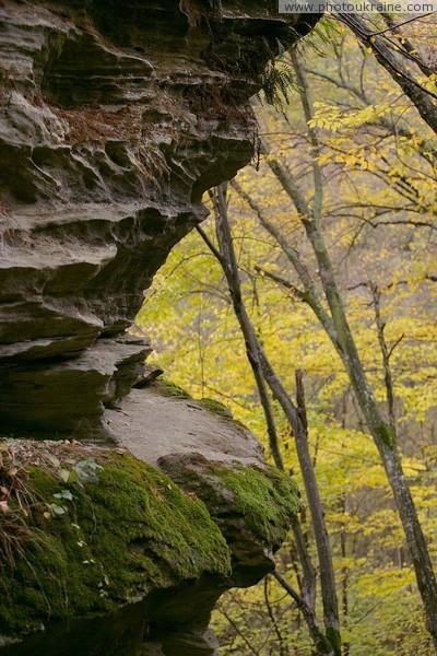 Busha. Grin of sandstone in Gaydamak Yar Vinnytsia Region Ukraine photos