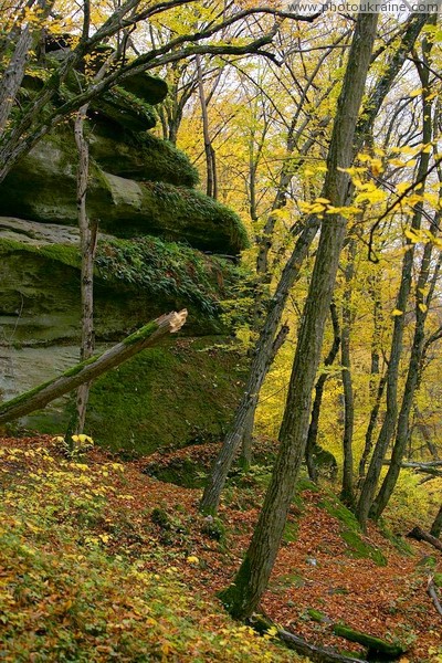Busha. Green blanket sandstone cliffs Gaydamak Yar Vinnytsia Region Ukraine photos