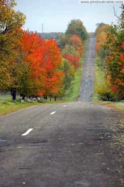 Живописный нырок шоссе Ямполь – Могилев-Подольский Винницкая область Фото Украины
