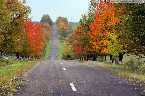 Romantic bending way Yampil  Mogyliv-Podilskyi Vinnytsia Region Ukraine photos