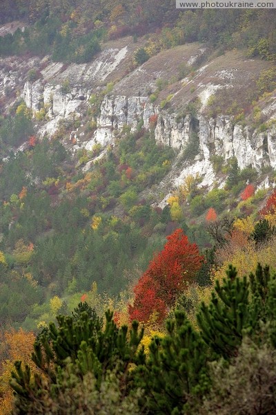 Oksanivka. Mesozoic limestone of Dniester Vinnytsia Region Ukraine photos