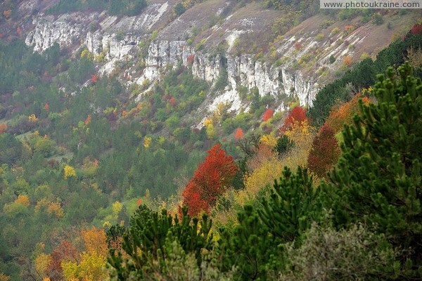 Oksanivka. Cretaceous limestone valleys of Dniester Vinnytsia Region Ukraine photos