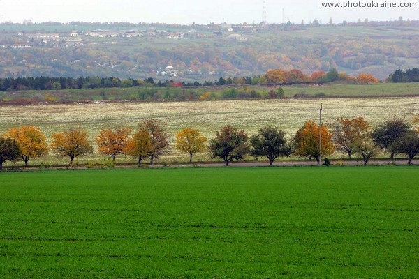 Oksanivka. Way Yampil  Mogyliv-Podilskyi Vinnytsia Region Ukraine photos