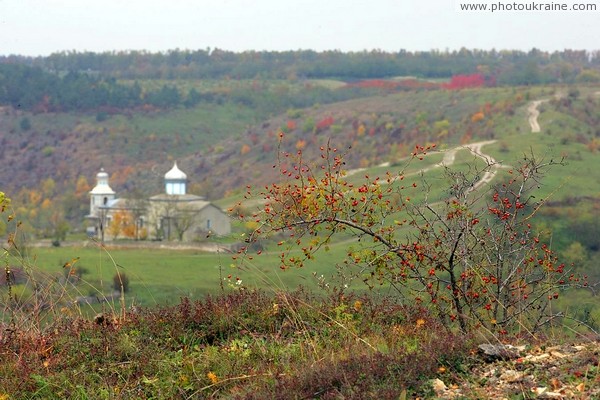 Stina. Barberry bush over valley of river Rusava Vinnytsia Region Ukraine photos