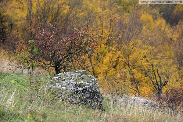 Стена. Известняковые выступы на левом берегу Русавы Винницкая область Фото Украины