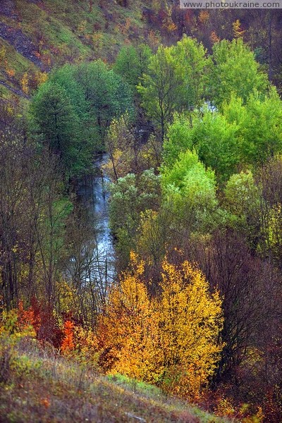 Стена. Осеннее русло Русавы Винницкая область Фото Украины