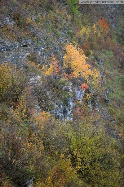 Стіна. Кам’яні схили долини річки Русава Вінницька область Фото України