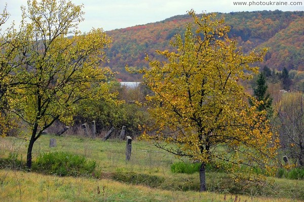 Busha. Cossack cemetery Vinnytsia Region Ukraine photos